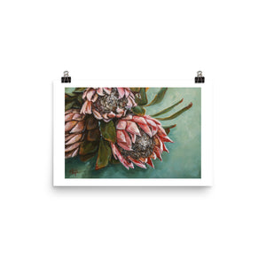 Shades of Blush | Paper Prints