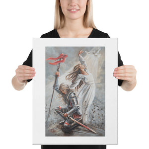 Armour | Canvas Prints