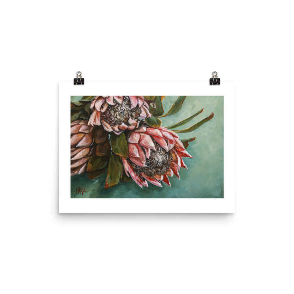 Shades of Blush | Paper Prints