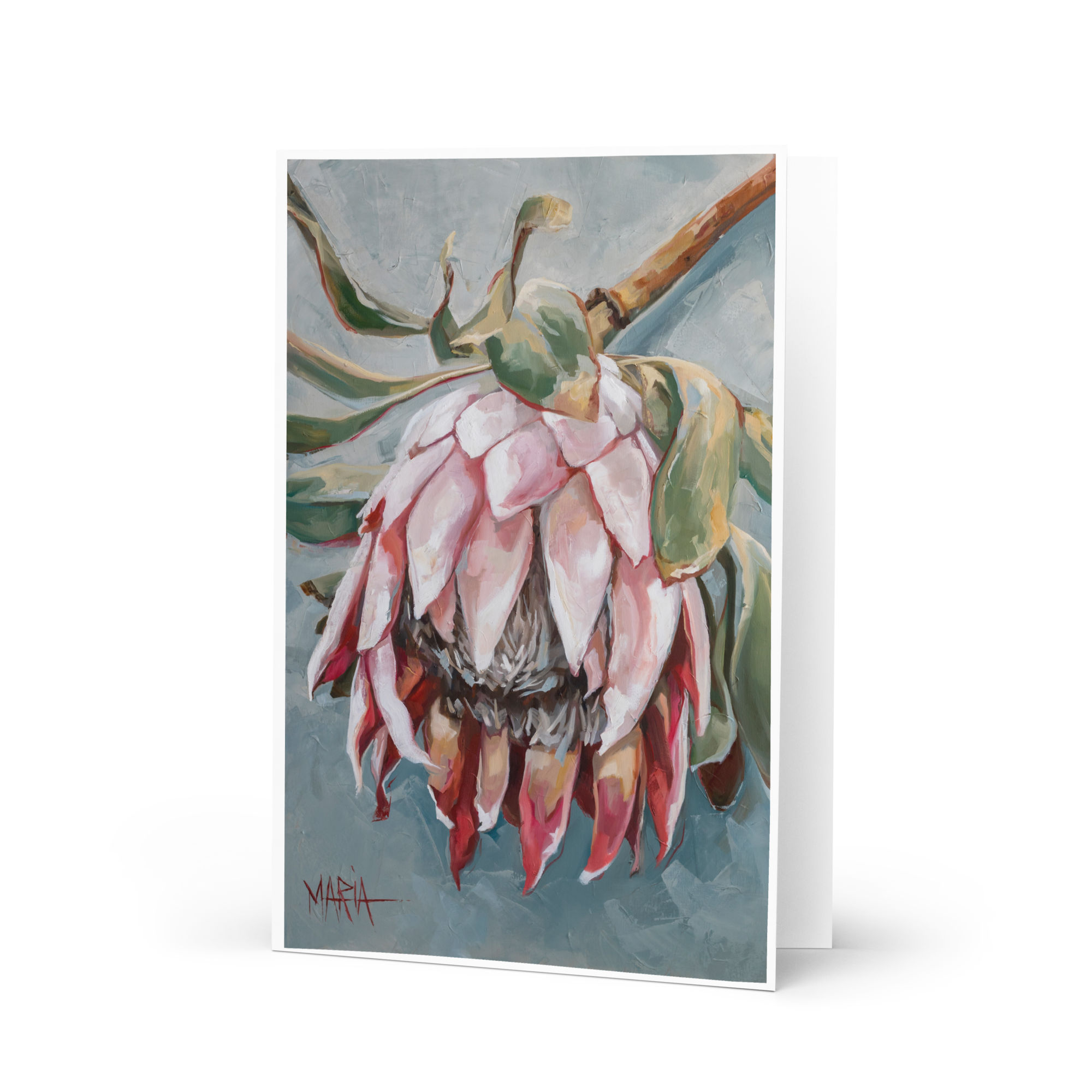 Pale Pink Beauty | Greeting Card