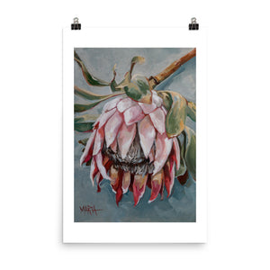 M18042 Pale Pink Beauty